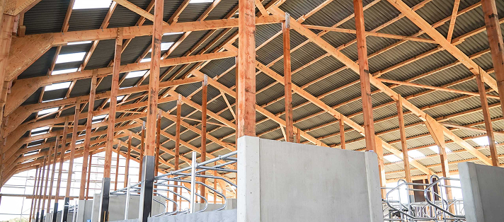 Gewerbehallen Holzkonstruktion